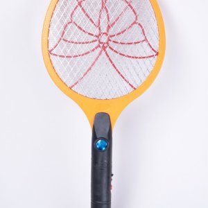 Mosquito shoot25