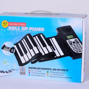 Electronic organ10