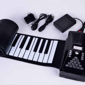 Electronic organ45