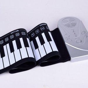 Electronic organ48