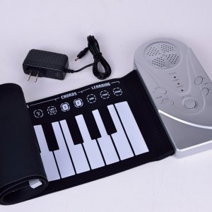 Electronic organ54