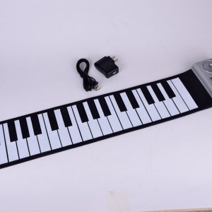 Electronic organ56