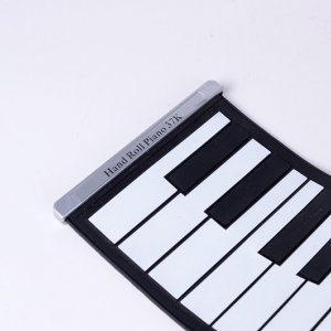 Electronic organ58